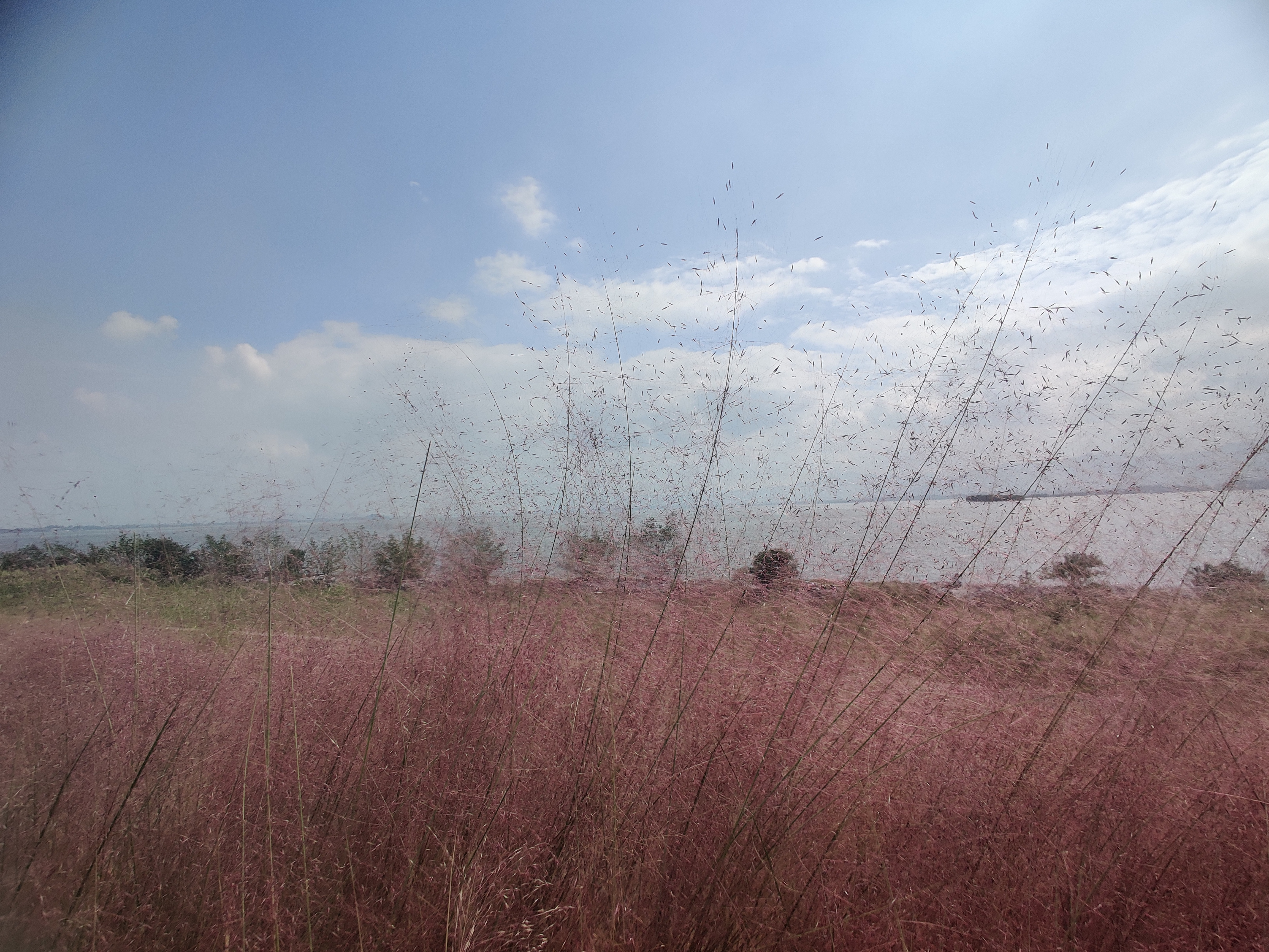 黄石市·大冶湖4