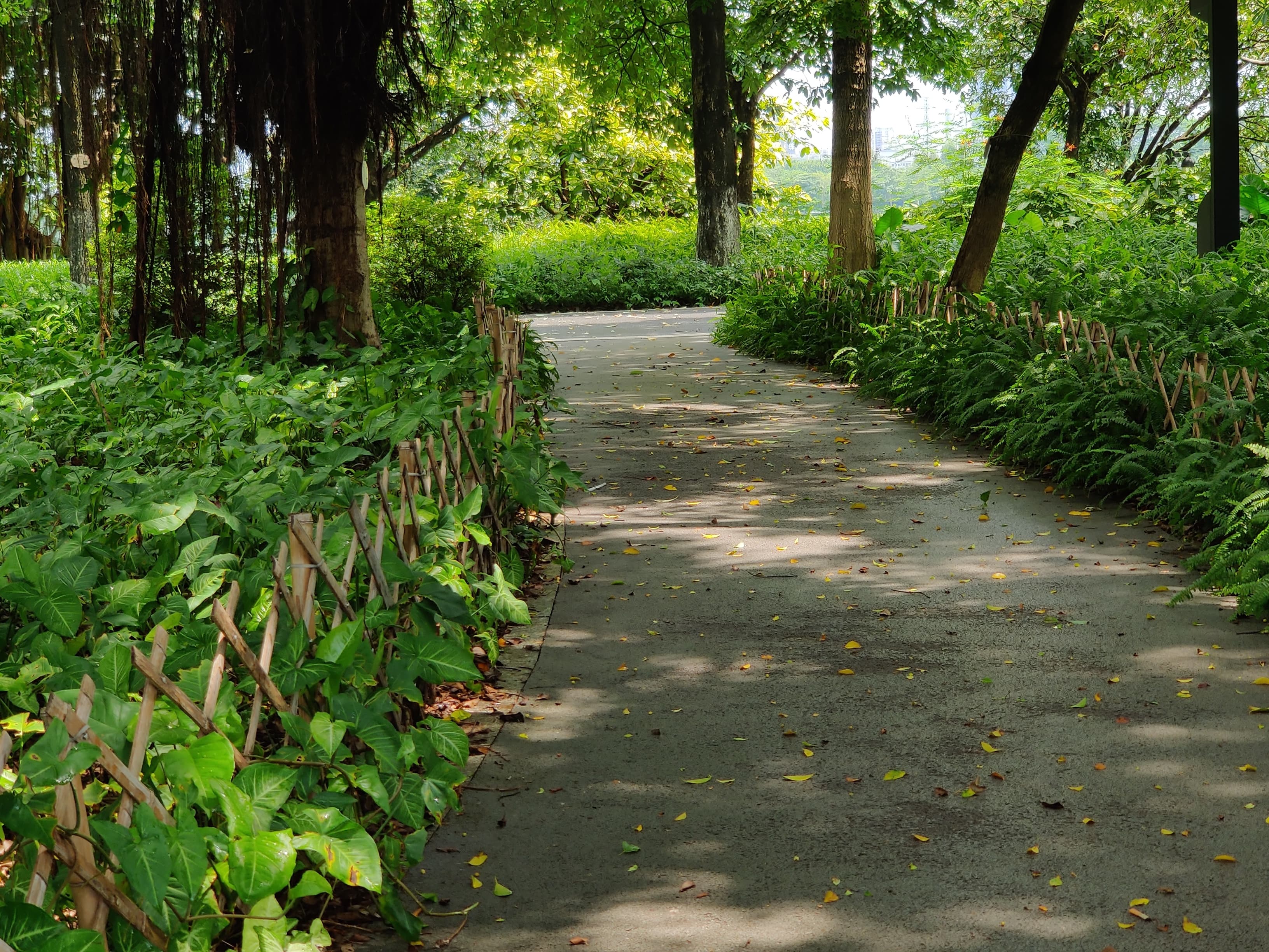 海珠湿地公园 (6).jpg 海珠湿地公园 (6).jpg