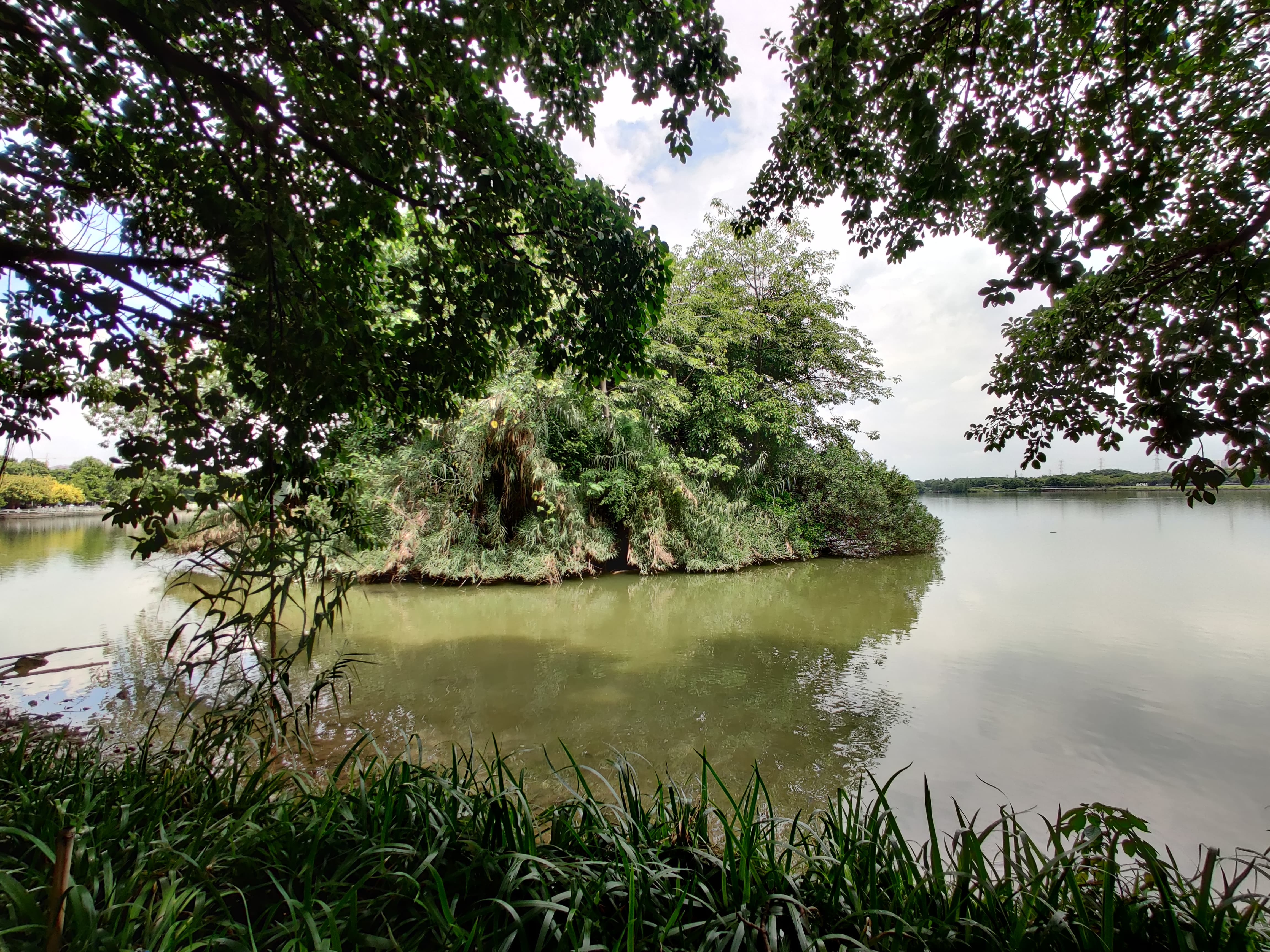 海珠湿地公园 (8).jpg 海珠湿地公园 (8).jpg