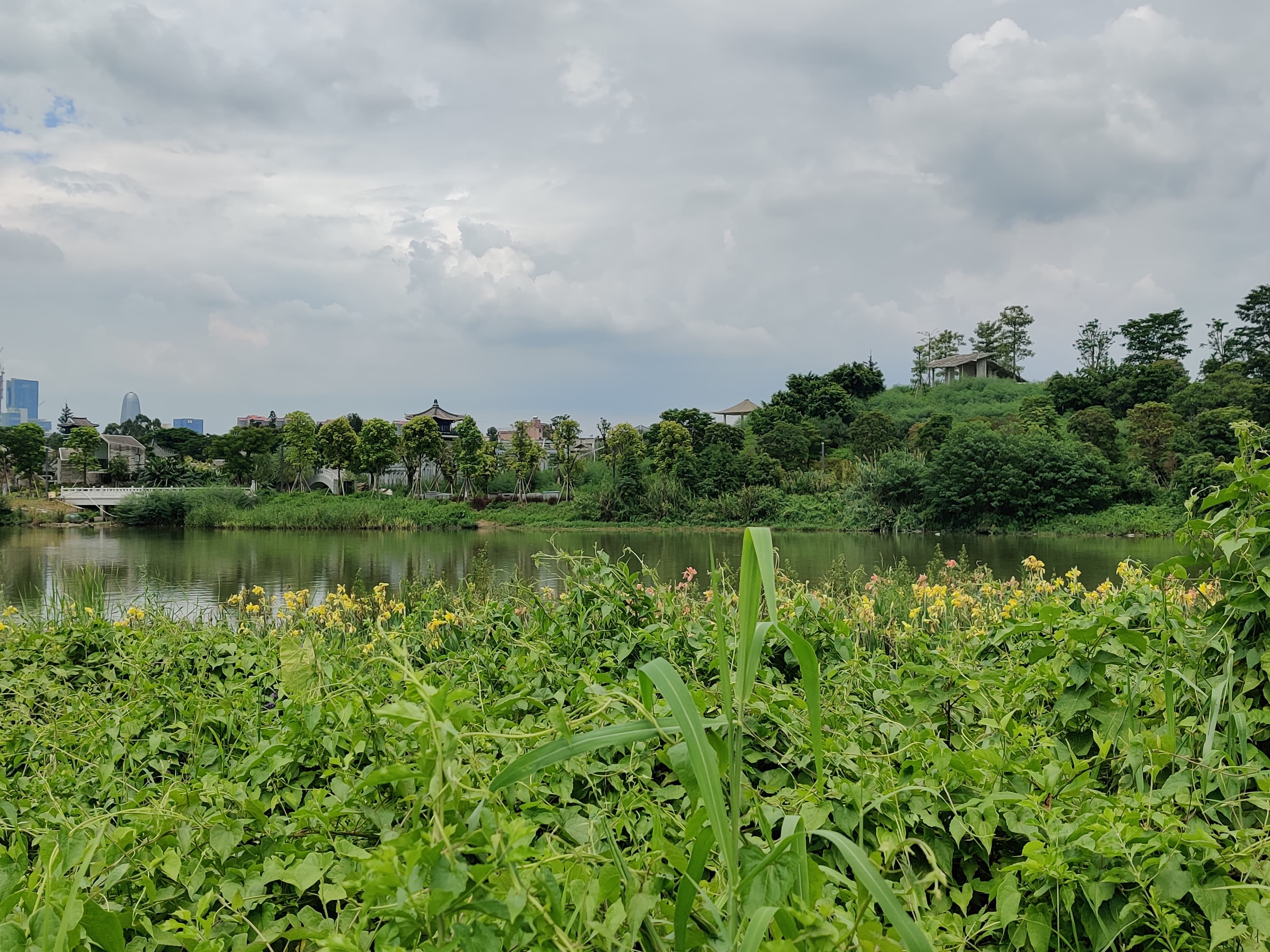 海珠湿地公园 (18).jpg 海珠湿地公园 (18).jpg