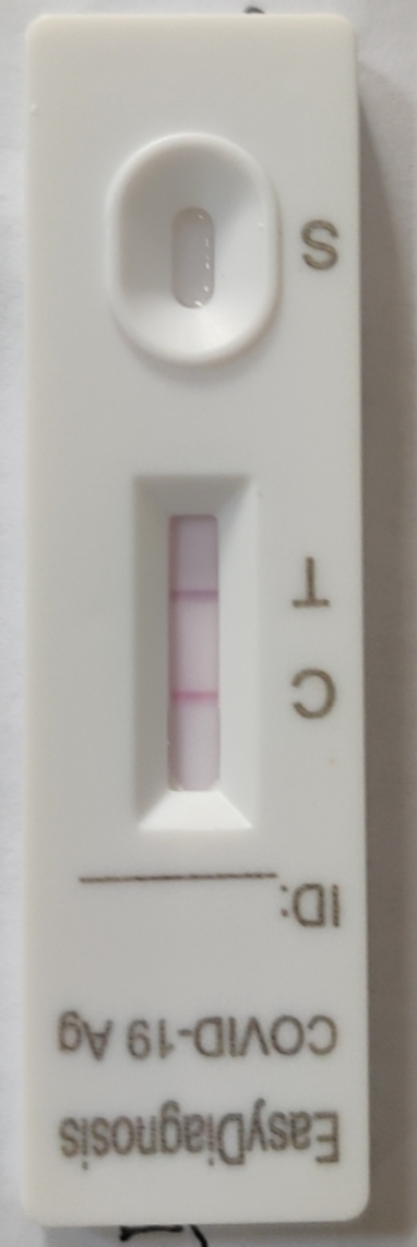 IMG_20221215_134114.jpg IMG_20221215_134114.jpg